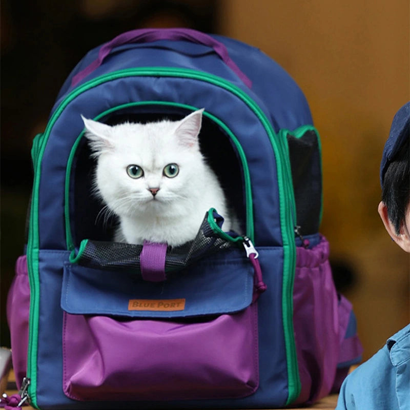 Lightweight Small Pet Carrier Bag