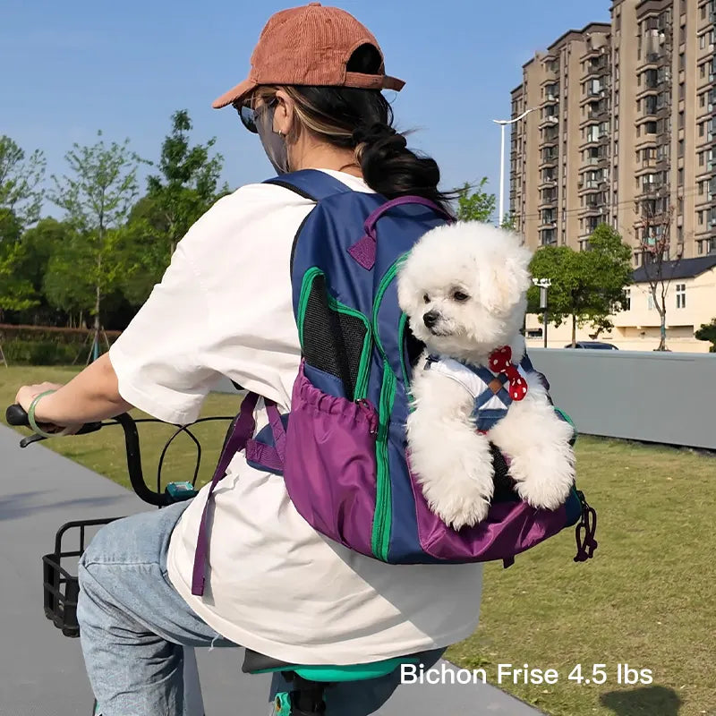 Lightweight Small Pet Carrier Bag