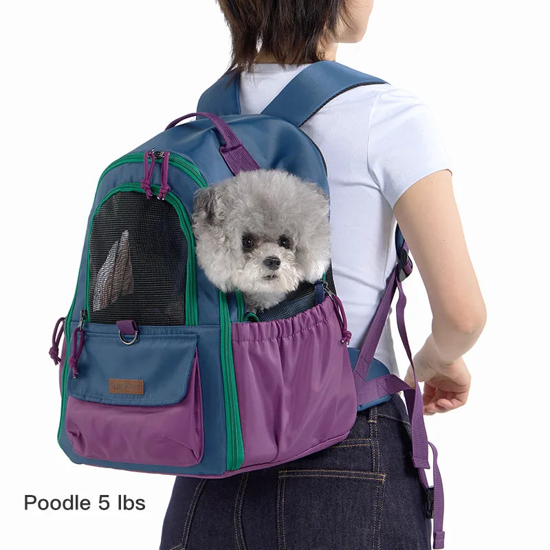 Lightweight Small Pet Carrier Bag