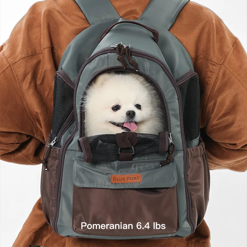 Lightweight Small Pet Carrier Bag