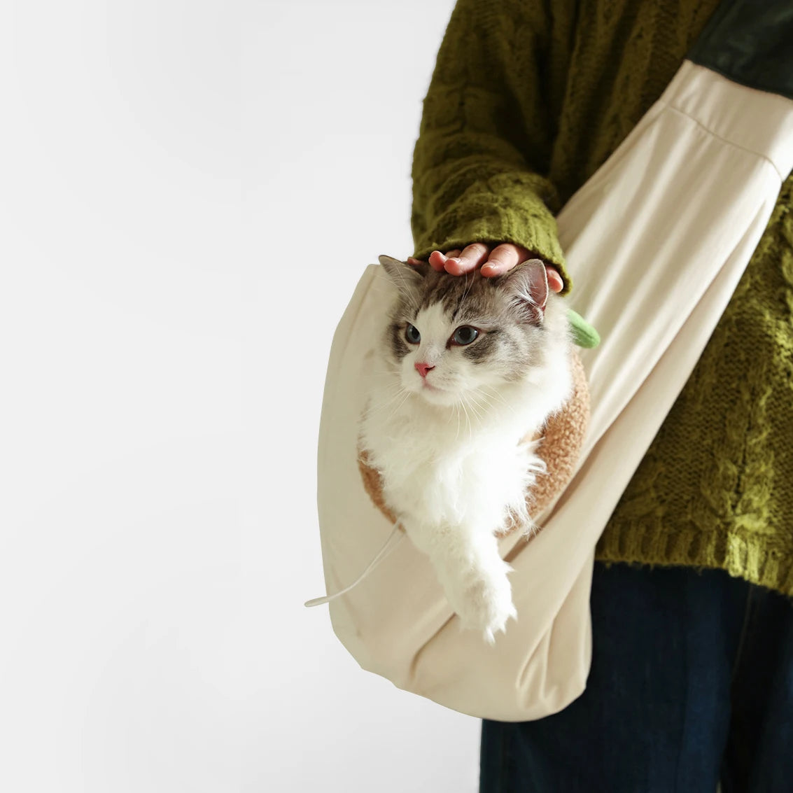 Small Pet Carrier Purse