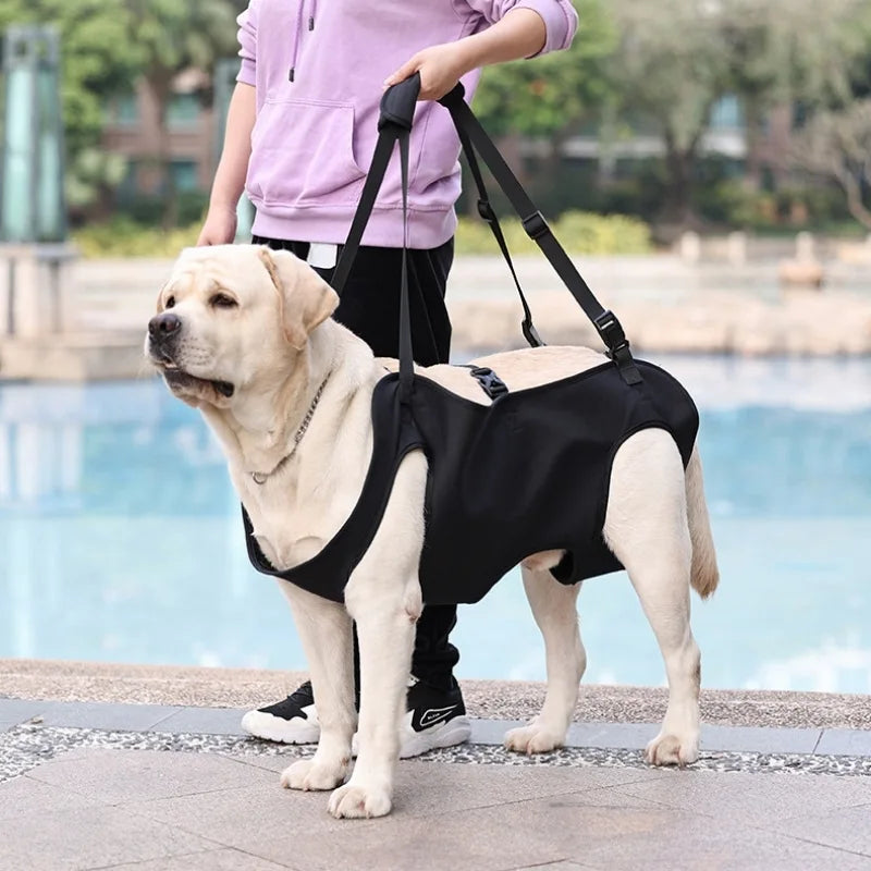 Lift Harnesses