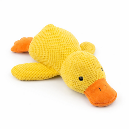 Calming Duck