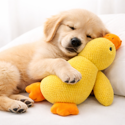 Calming Duck