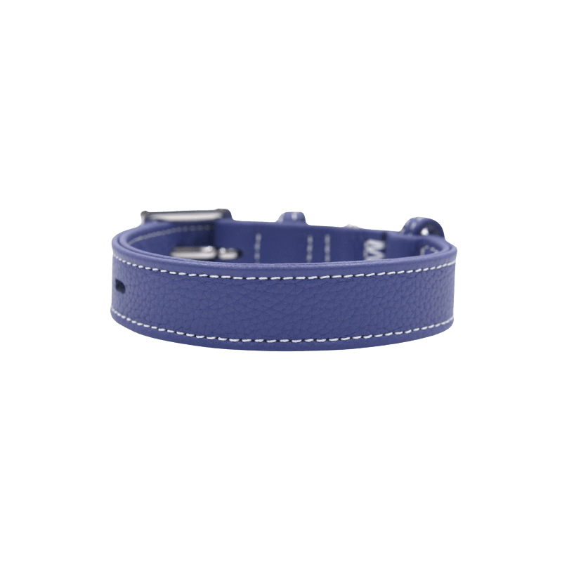 Elegant Blue Leather Dog Collar