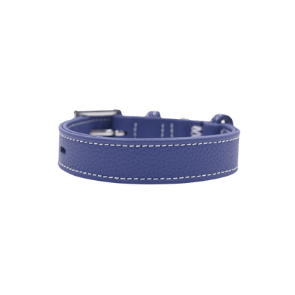 Elegant Blue Leather Dog Collar