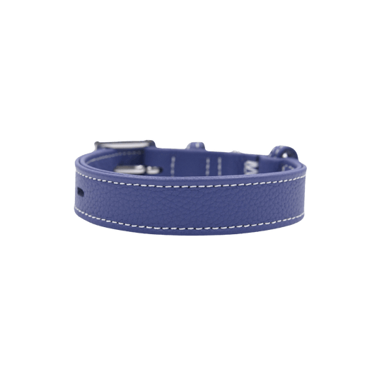 Elegant Blue Leather Dog Collar