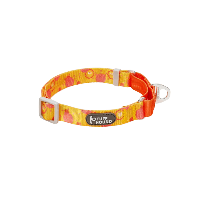 cool-dog-collars-graffiti-fun