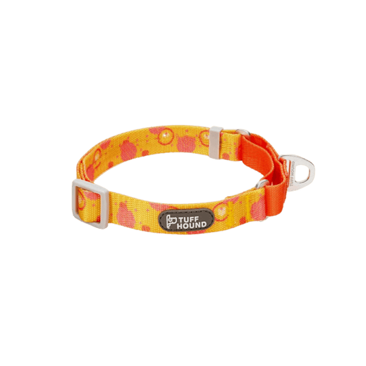 cool-dog-collars-graffiti-fun