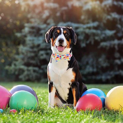 Cool Dog Collars On Dog