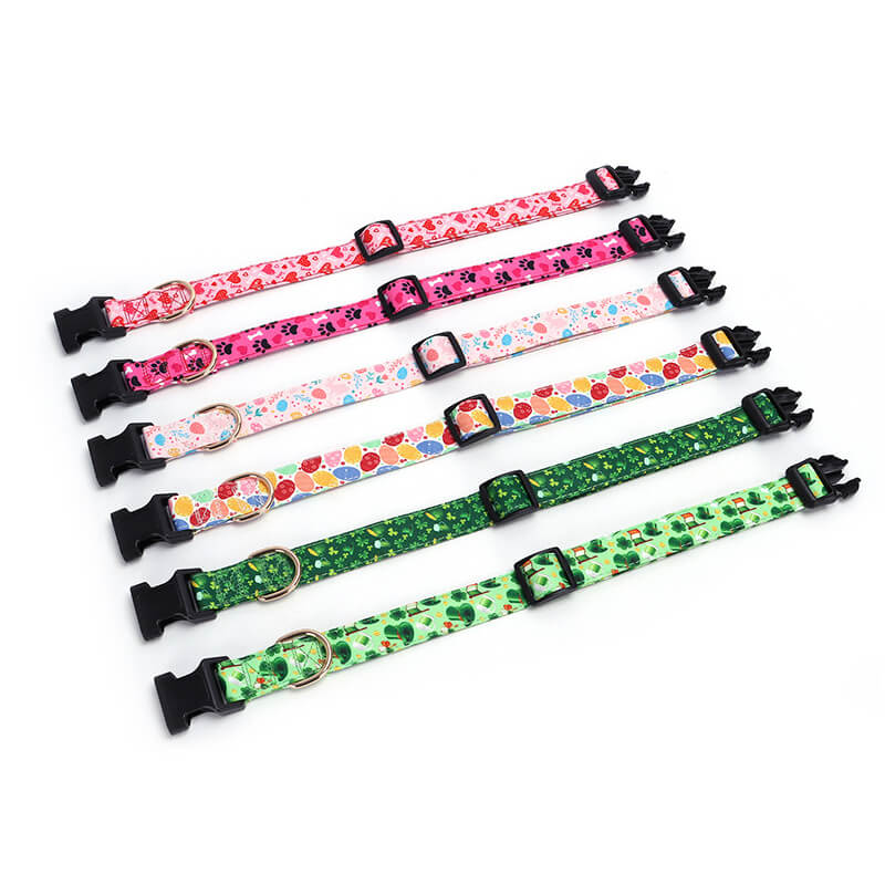 Cool Dog Collar Style Display