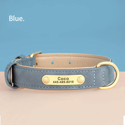 Custom Dog Collars Blue