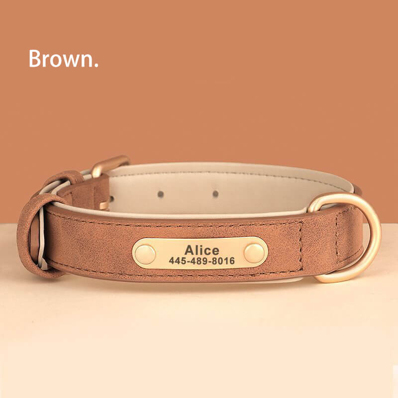 Custom Dog Collars Brown