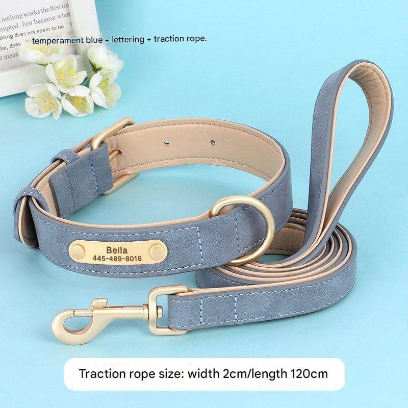 Dog Collar and Leash Blue