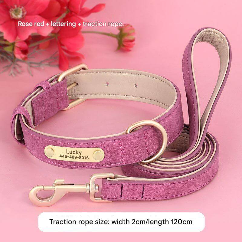 Dog Collar and Leash Fuchsia