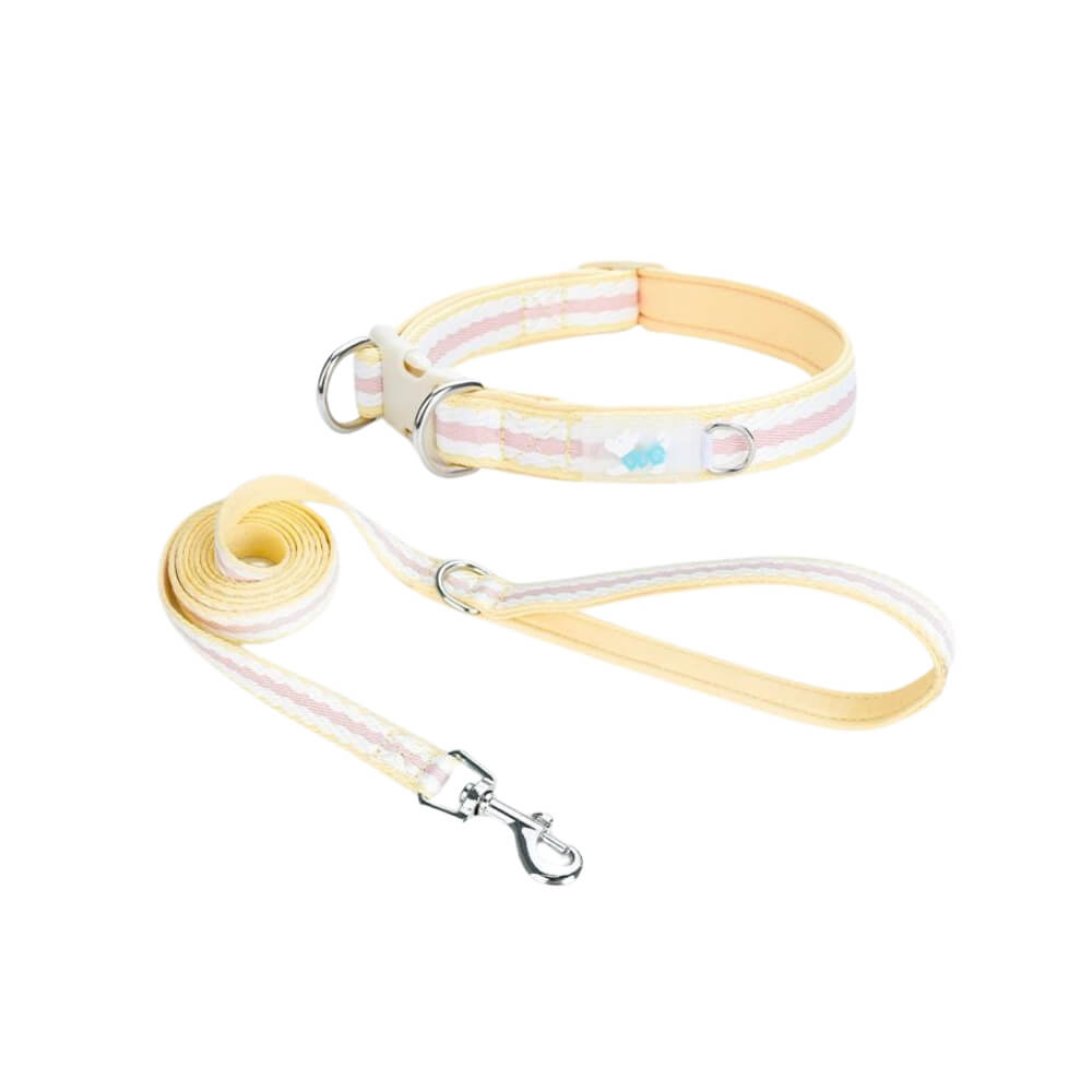 Yellow Dog Collar and Leash Set