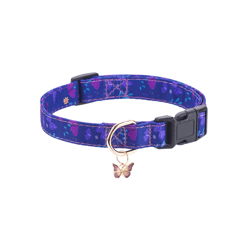 Purple Big Dog Collar Main Image