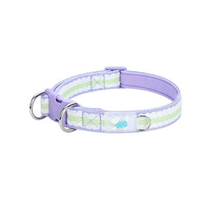 Main Image of Large Dog Collar