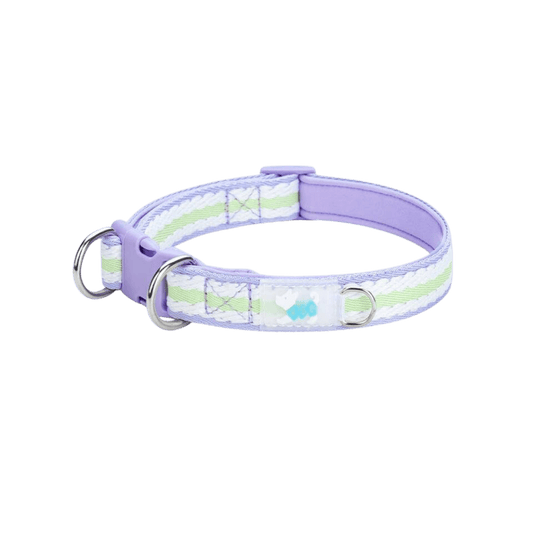 Main Image of Large Dog Collar