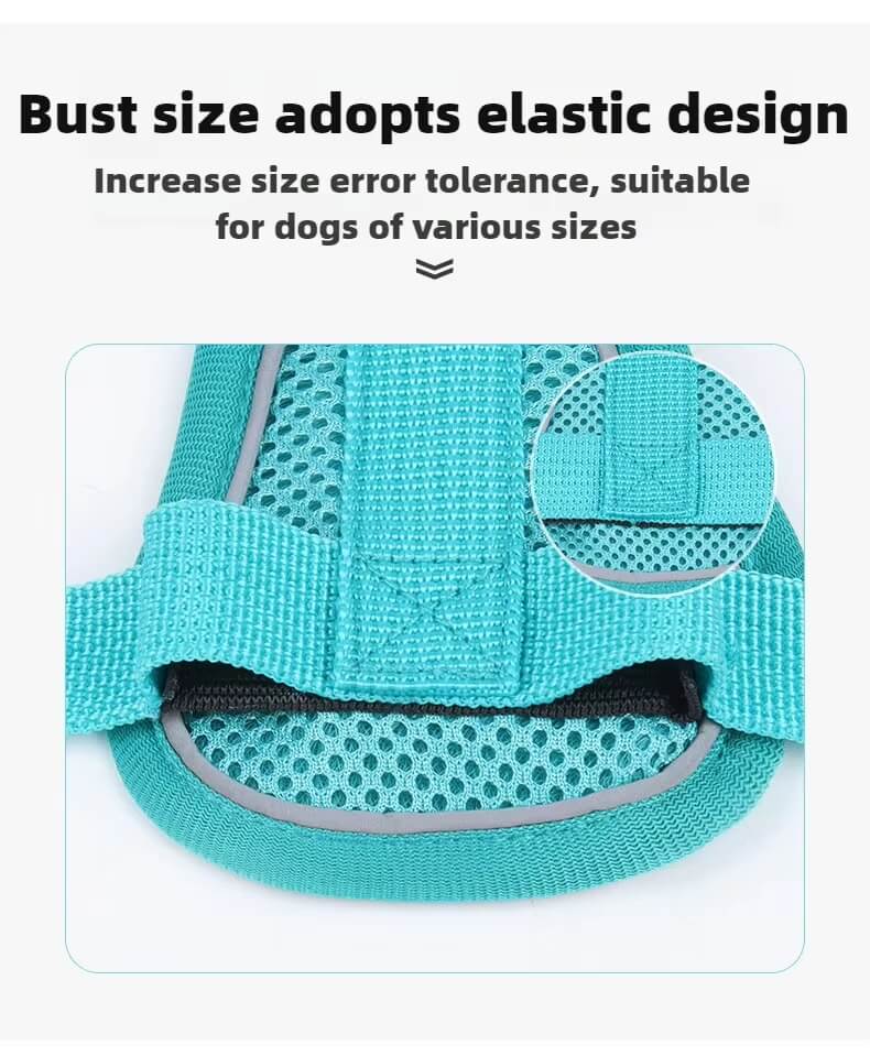 Detailed View Of Dog Harness For Small Dogs