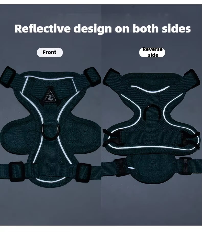 Lightweight Dog Harness For Small Dogs With Maximum Comfort