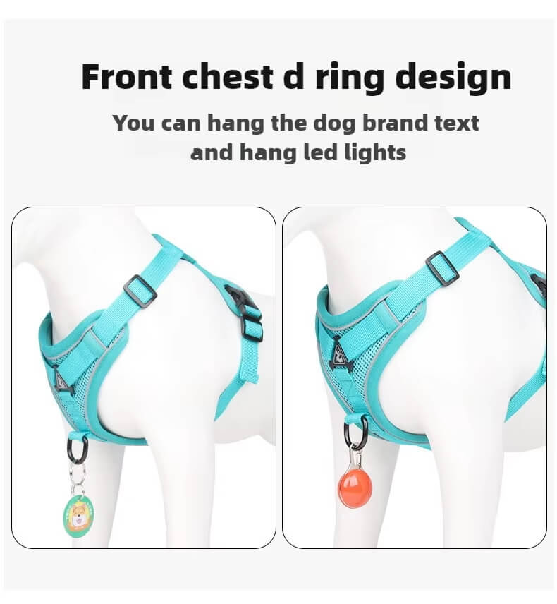 Secure And Padded Dog Harness For Small Dogs