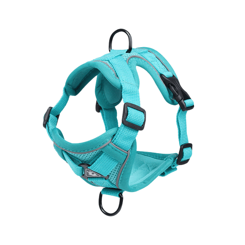 Main Image of Lake Blue Dog Harness for Small Dogs