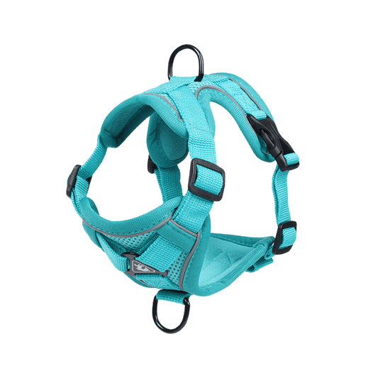 Main Image of Lake Blue Dog Harness for Small Dogs