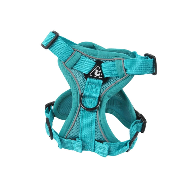 Lake Blue Dog Harness for Small Dogs