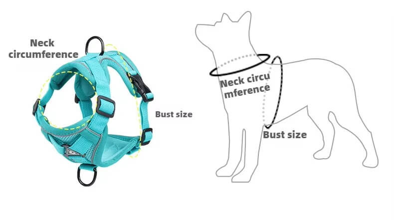 Measurement Guide for Small Dog Harness