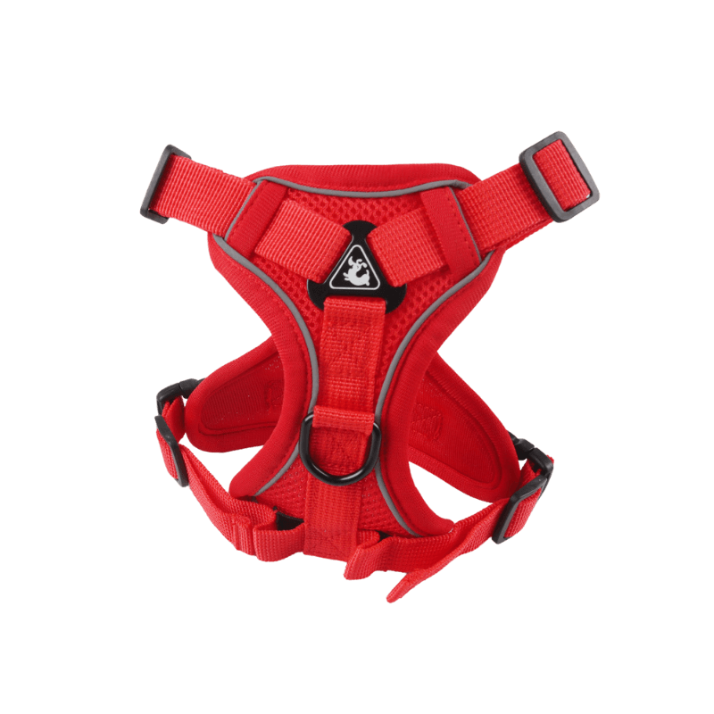 Red Dog Harness for Small Dogs