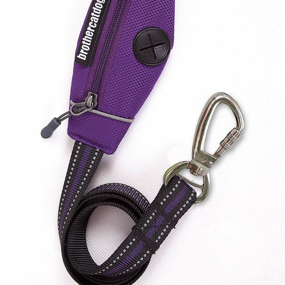 Detailed View of Dog Leash with Poop Bag Holder