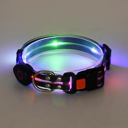 Black Glow In The Dark Dog Collar