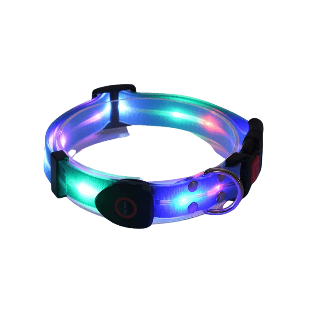 Blue Glow In The Dark Dog Collar For Nighttime Safety