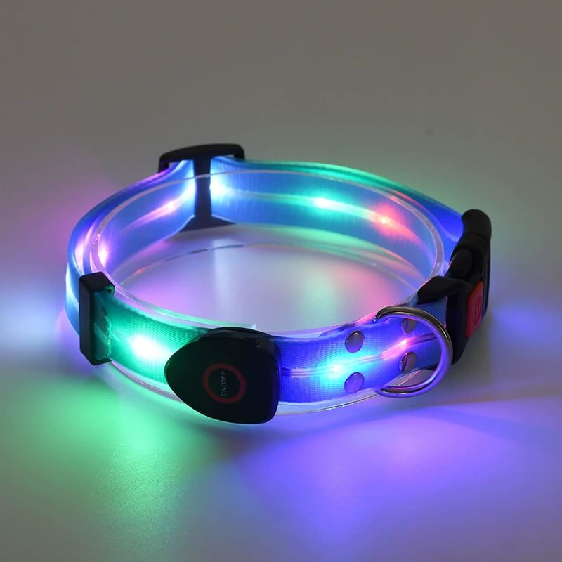 Blue Glow In The Dark Dog Collar