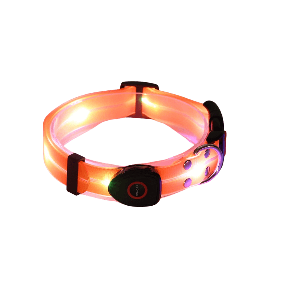 Orange Glow In The Dark Dog Collar Perfect For Visibility