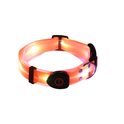 Orange Glow In The Dark Dog Collar Perfect For Visibility