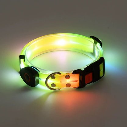 Yellow Glow In The Dark Dog Collar