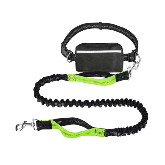 Green Hands-Free Dog Leash for Comfortable Control