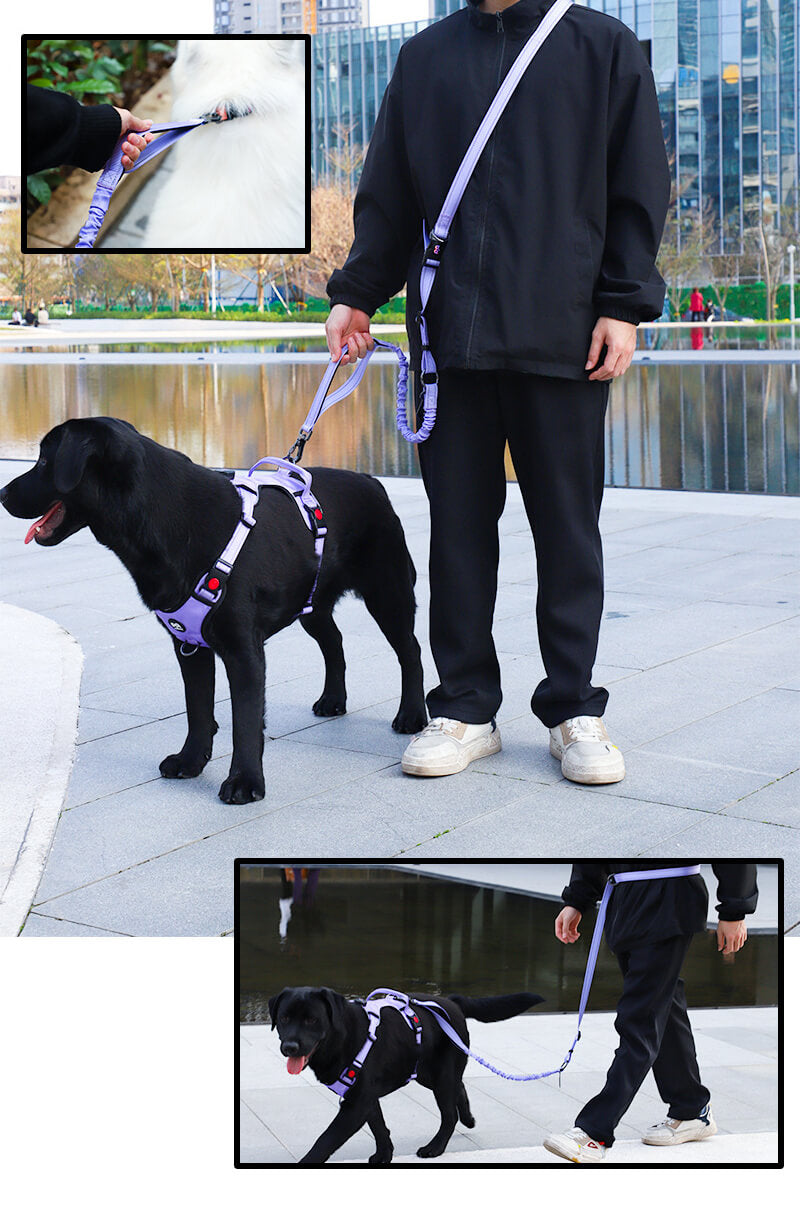 Hands-Free Retractable Dog Leash for Effortless Walks and Full Control