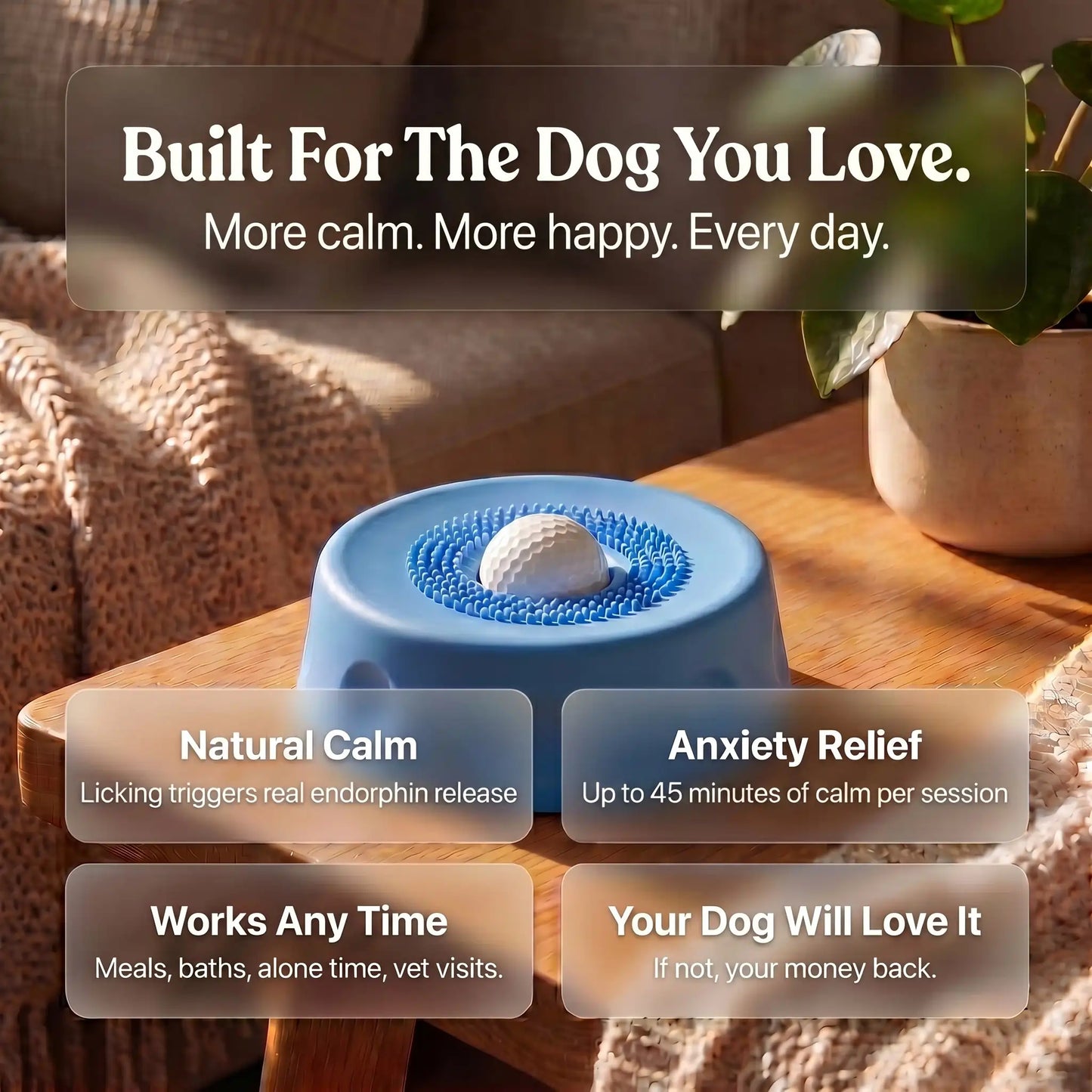 The Natural Calm Down Switch Hiding In Your Dog's Tongue