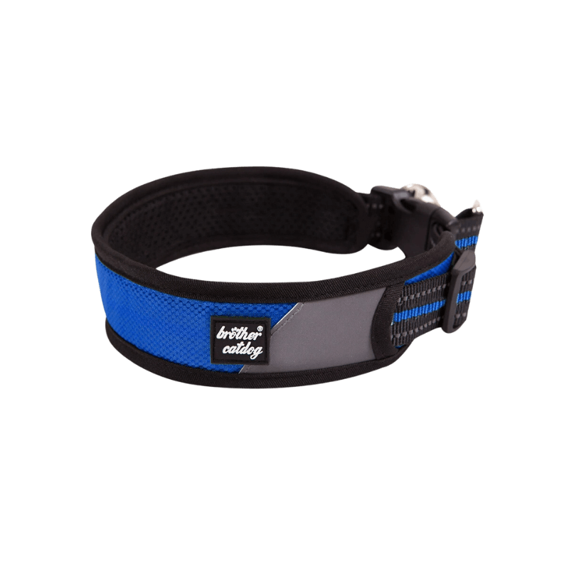 Blue Hunting Dog Collar for Active Pups in the Field