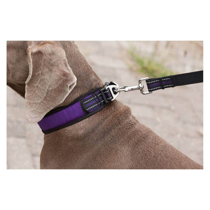 Hunting Dog Wearing Collar for Enhanced Outdoor Mobility