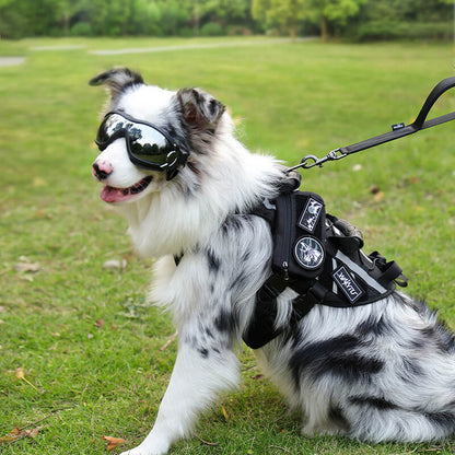 Large Dog Harness with Handle - Dog Displaying Comfort and Control