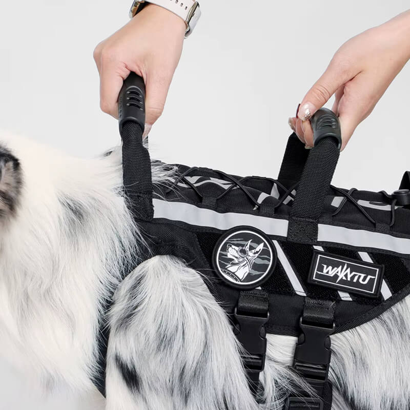 Double Handle Design of the Large Dog Harness for Extra Control and Comfort