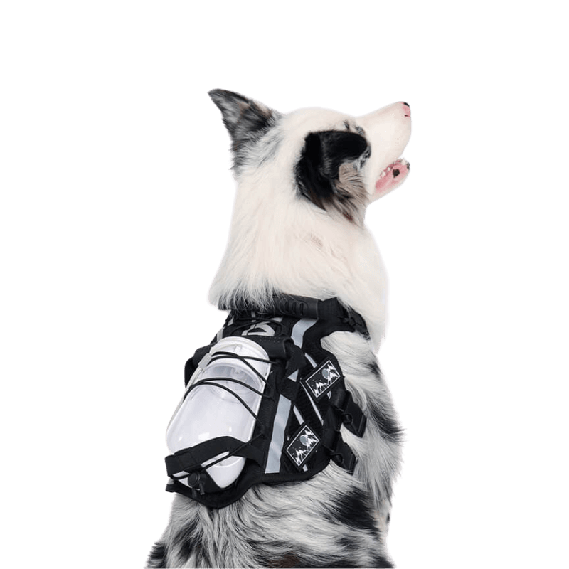 Multi-functional Straps of Large Dog Harness with Handle for Maximum Control