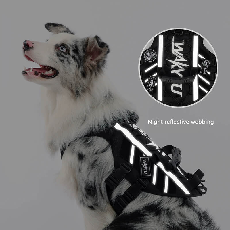 Night Glow Design of the Large Dog Harness with Handle for Visibility in Low Light