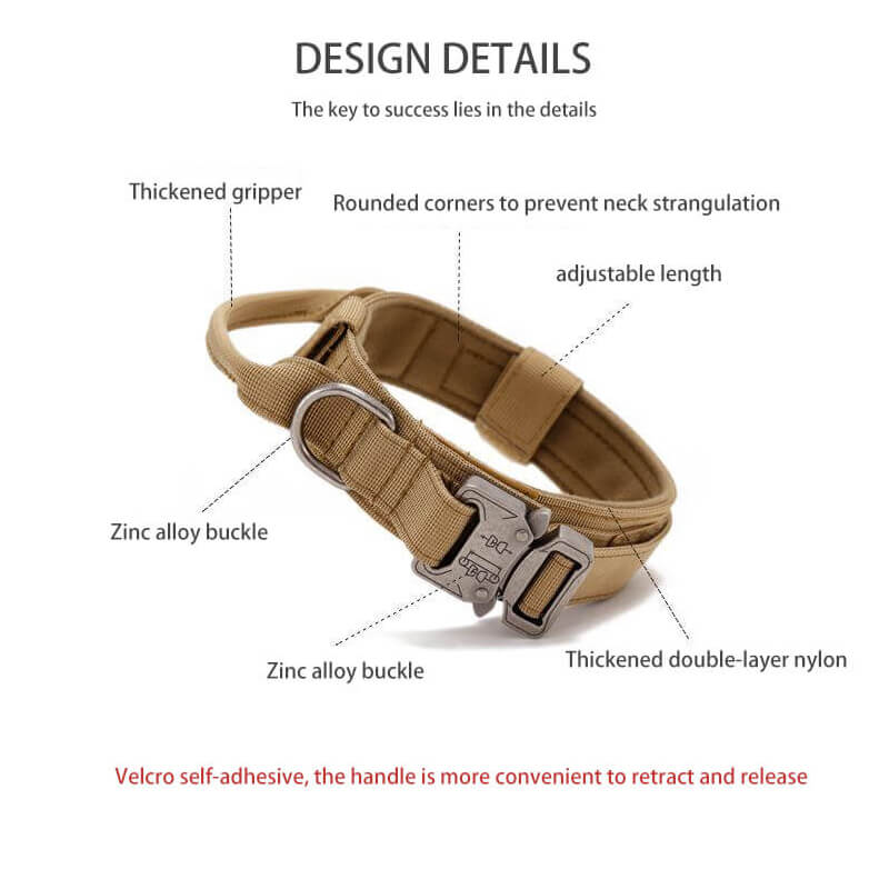 Detailed View of Large Dog Tactical Collars with Strong Design