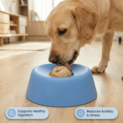 LeapPaw™ Lick Bowl