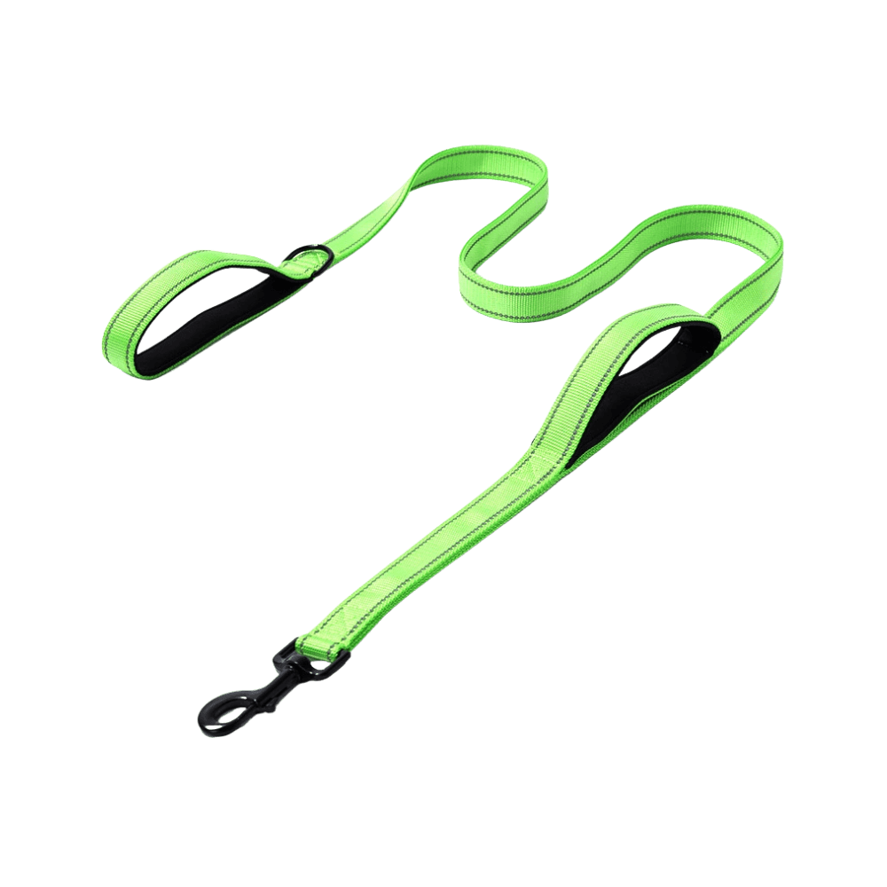 Grass Green Leash, Perfect for Outdoor Adventures